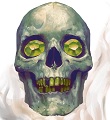 Avatar de l’utilisateur