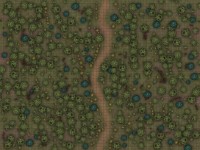 carte de combat en forêt standard.jpg
