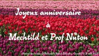 Chilliwack Tulip Festival.jpg