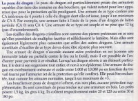 dragon peau.jpg