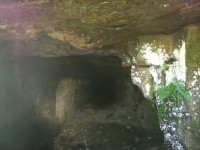 1D65E9C5-BCE2-46E8-AA2B-498B8BEF3FD2.jpeg