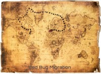 Beg Bug Migration.jpeg