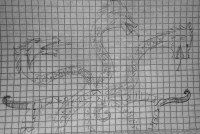 20231103_182545.jpg