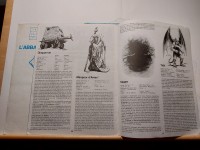 20240316_190354_Original.jpeg