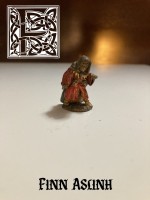 Figurine - Finn Aslinh.jpg