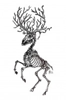 cerf.jpg