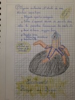 7-Etoile de mer
