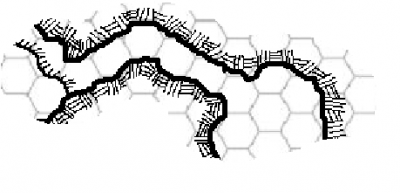 Tr21.png