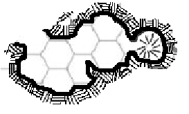Tr 24.PNG