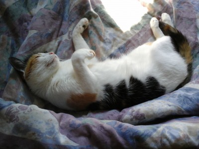 20140724_113209.jpg