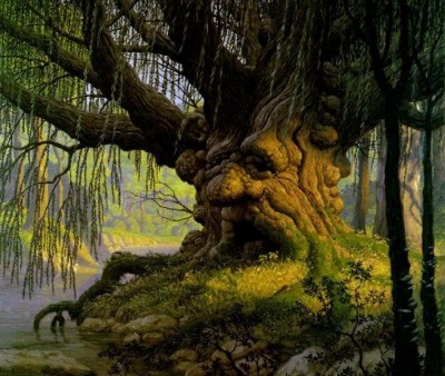 treeoflife.jpg