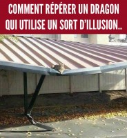 Dragon.jpg