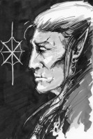 Elfe noir