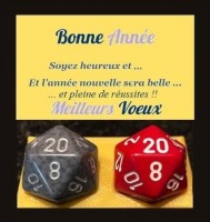 d20d20.jpg