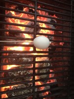 854C661A-4AA9-47D0-BE88-05392EED20D3.jpeg