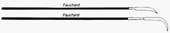 fauchard