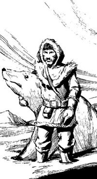 Druide arctique