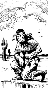 Druide du désert