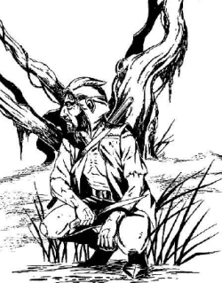 Druide déchu