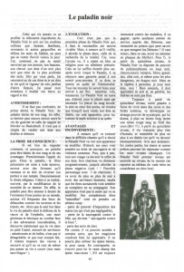 Le paladin noir Image 1